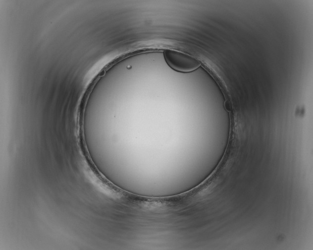 X0000110911082200907021429