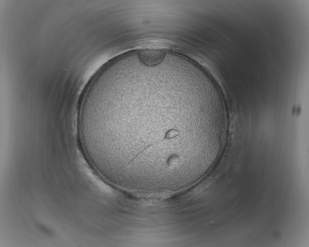 X0000110911083200907021429