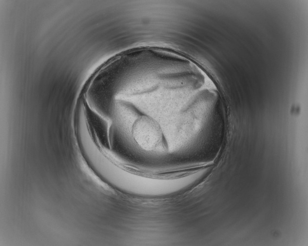 X0000110911084200907021429