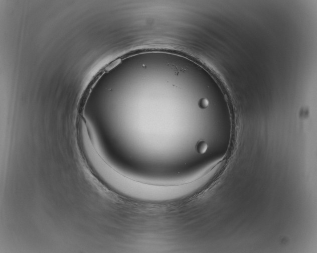 X0000110911085200907021429