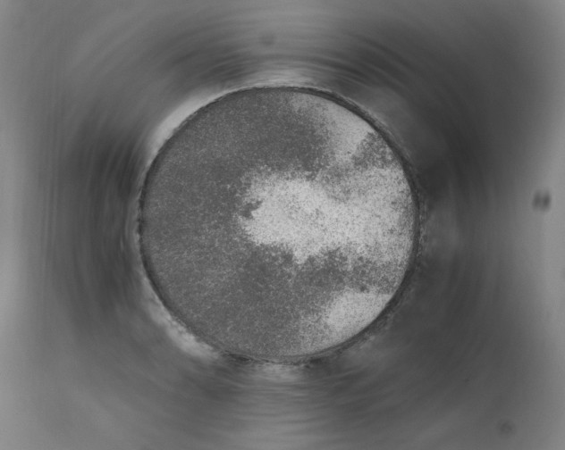 X0000110911086200907021429