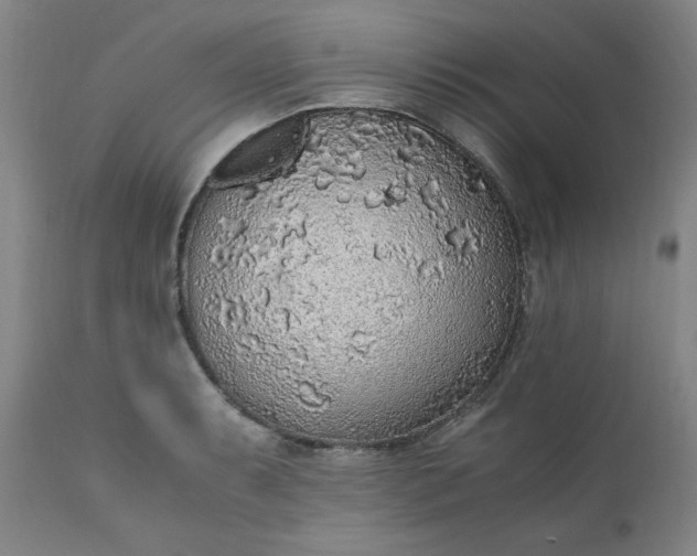 X0000110911087200907021429