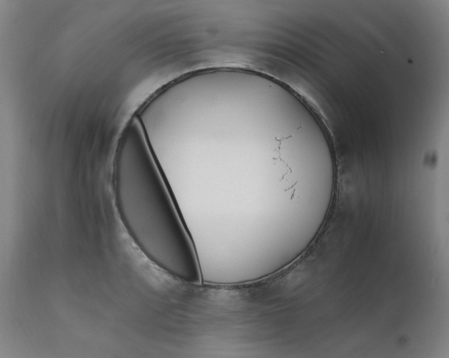 X0000110911088200907021429