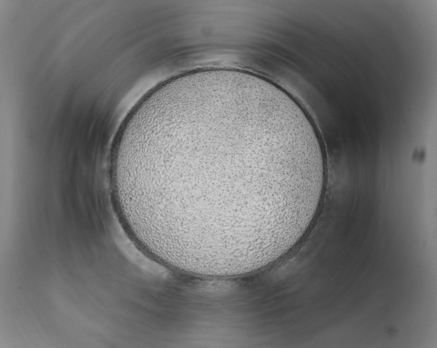 X0000110911090200907021429