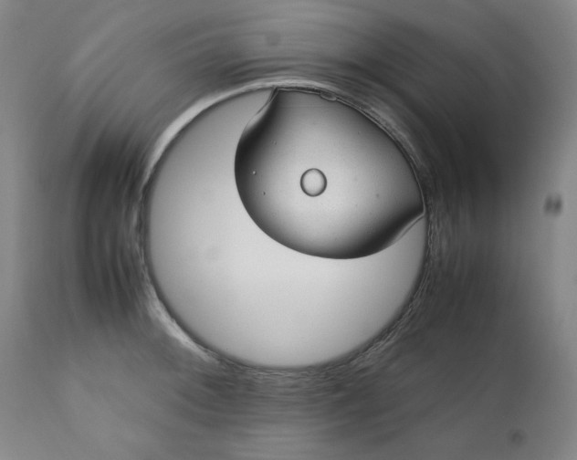 X0000110911092200907021429