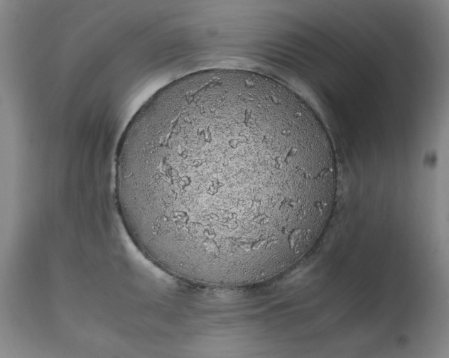 X0000110911095200907021429