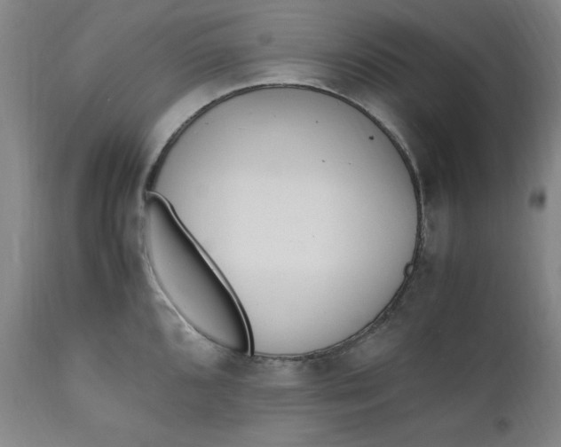 X0000110911096200907021429