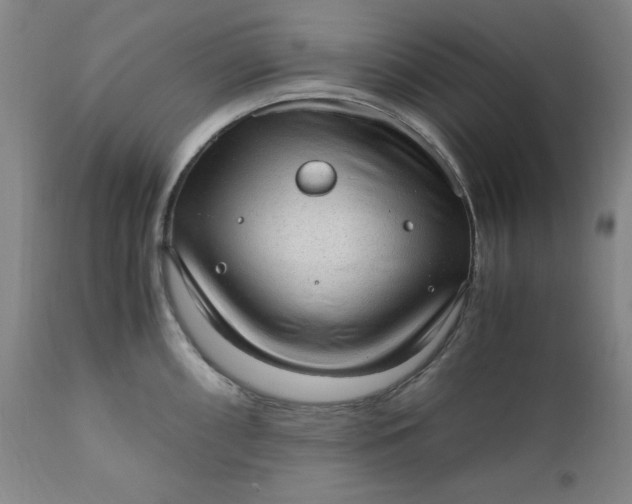 X0000110911098200907021429