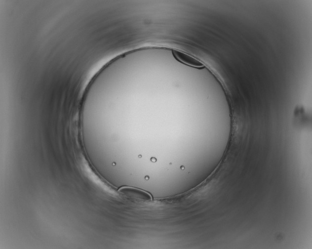 X0000110911100200907021429