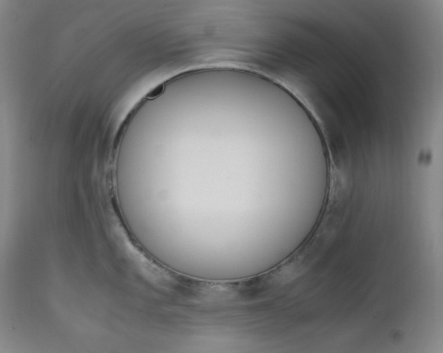 X0000110911101200907021429