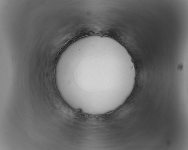 X0000110911105200907021428