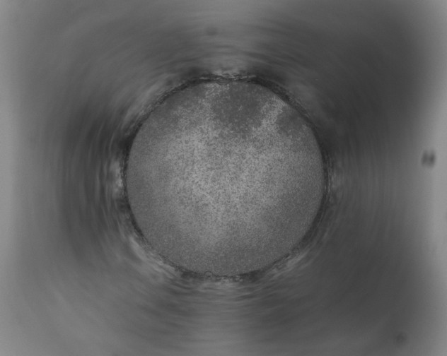 X0000110911106200907021428