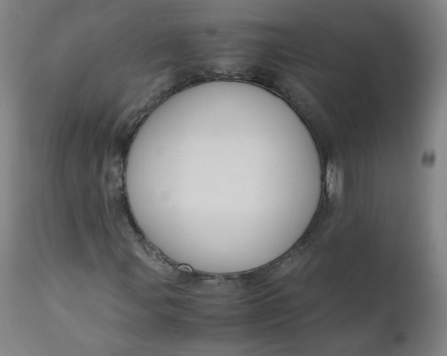 X0000110911107200907021428