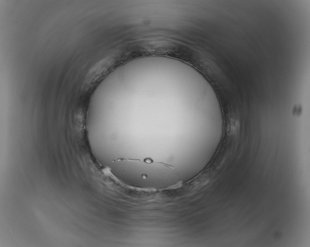 X0000110911108200907021428