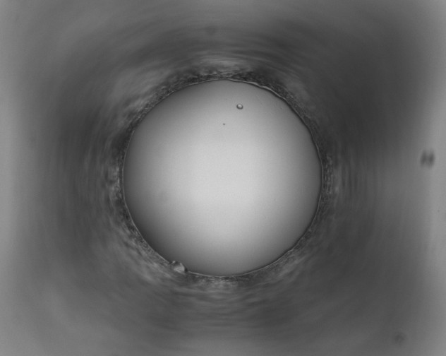 X0000110911109200907021428