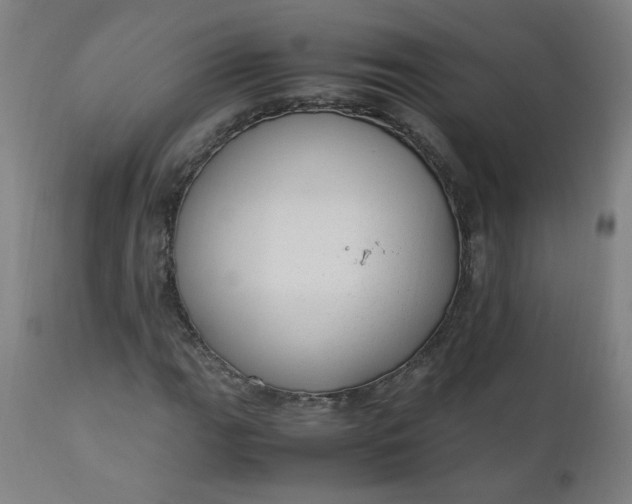 X0000110911111200907021428