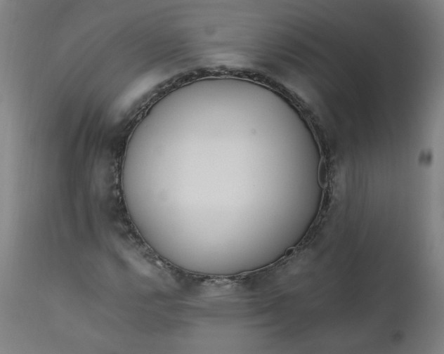 X0000110911112200907021428