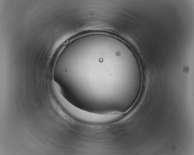 X0000110911114200907021428