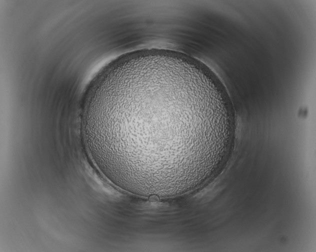 X0000110911115200907021428