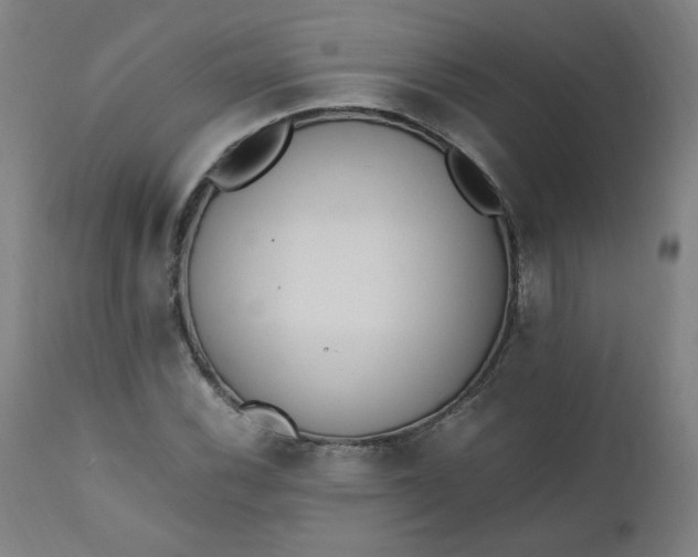 X0000110911116200907021428