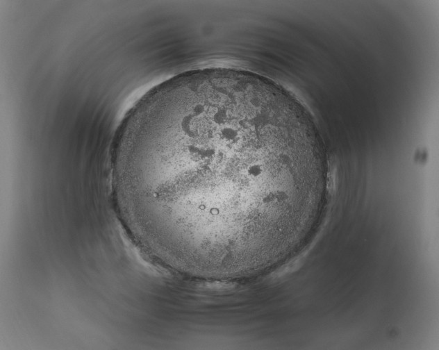 X0000110911117200907021428