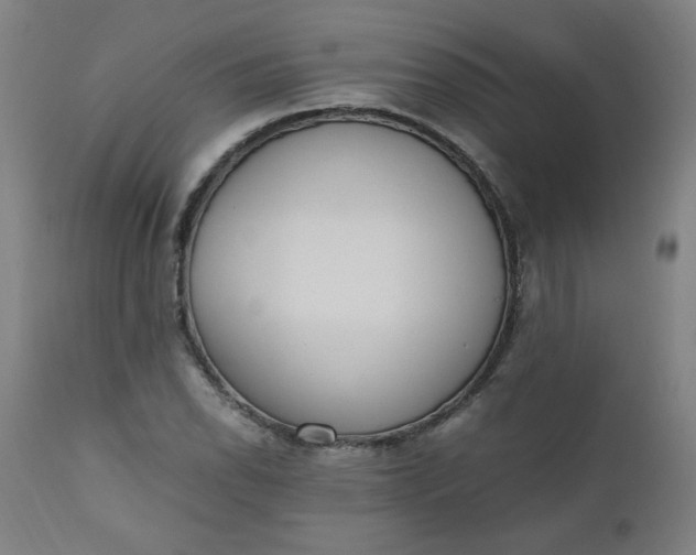 X0000110911118200907021428