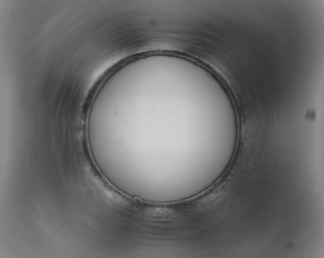 X0000110911119200907021428