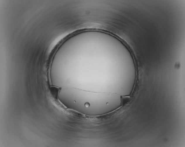 X0000110911120200907021428