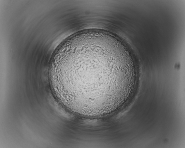 X0000110911121200907021428