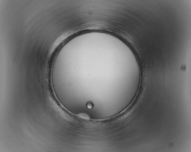 X0000110911122200907021428