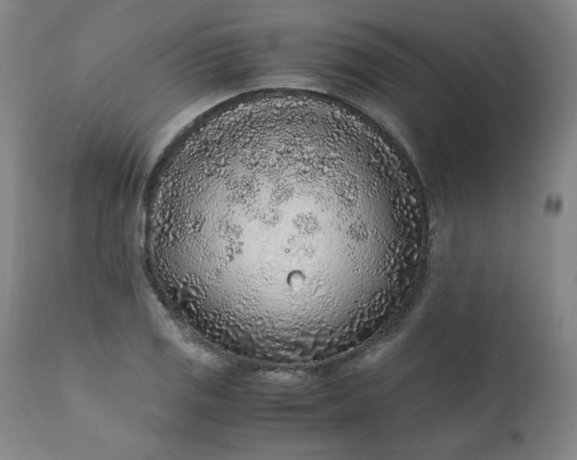 X0000110911125200907021428