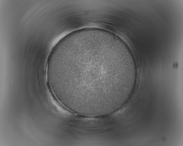 X0000110911127200907021428