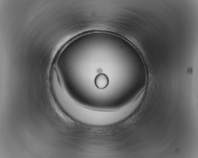 X0000110911128200907021428