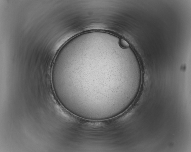 X0000110911129200907021428