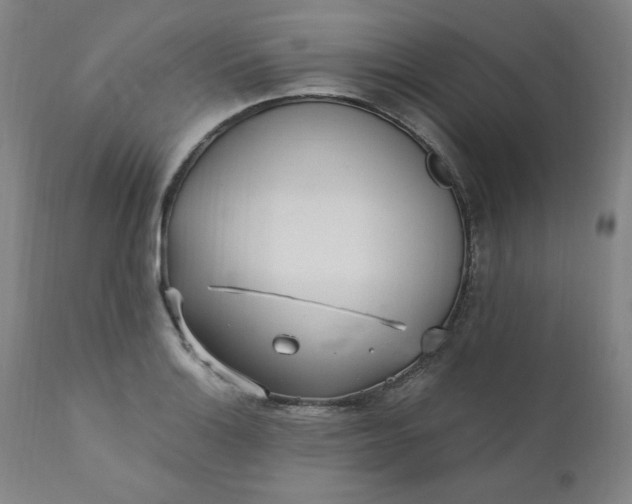 X0000110911132200907021428