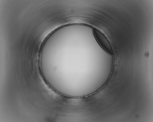 X0000110911134200907021428