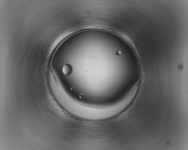 X0000110911138200907021429