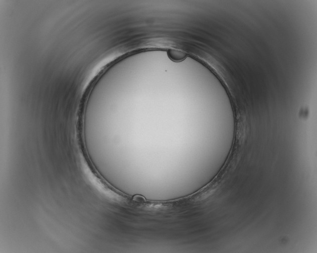 X0000110911139200907021429