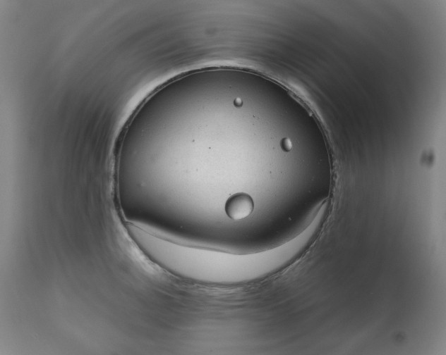 X0000110911140200907021429