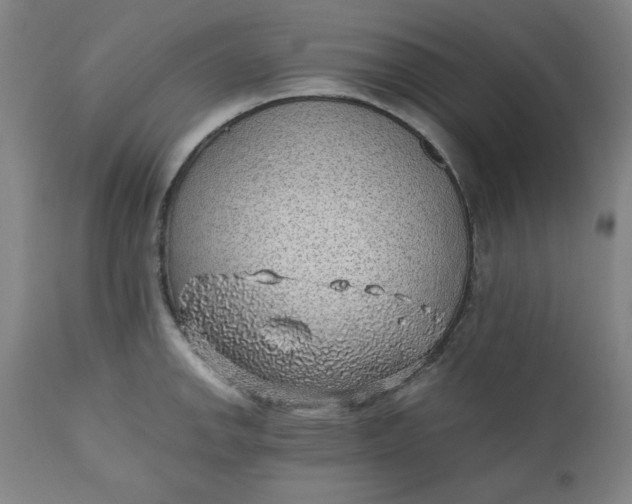 X0000110911142200907021429