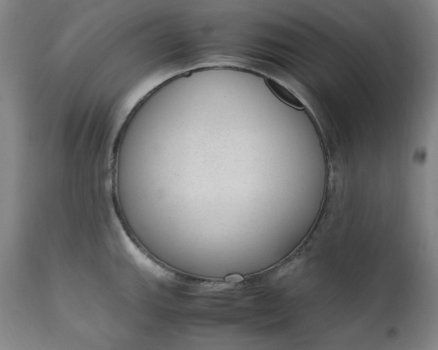 X0000110911143200907021429