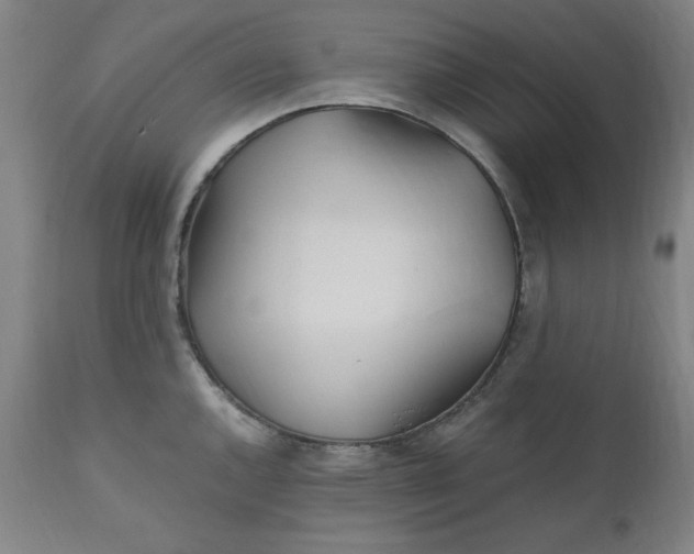 X0000110911144200907021429