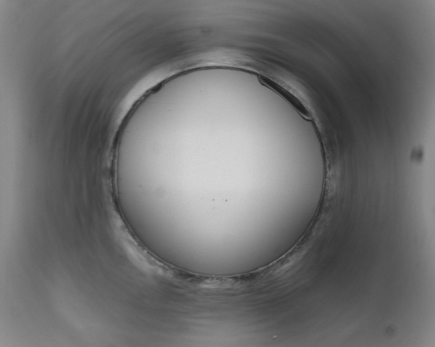 X0000110911146200907021429