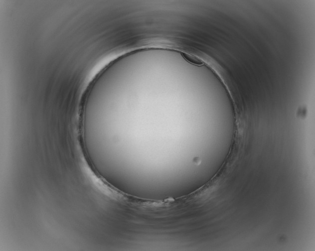 X0000110911147200907021429