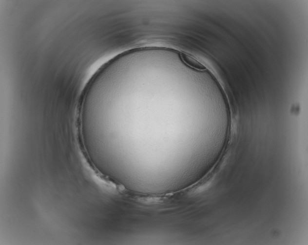 X0000110911149200907021429