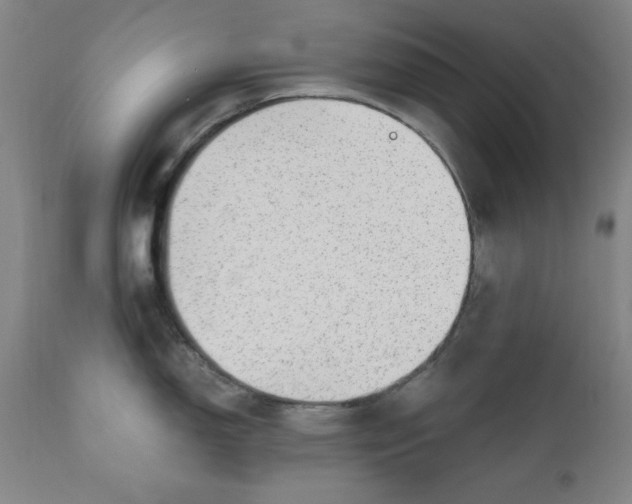 X0000110911150200907021429