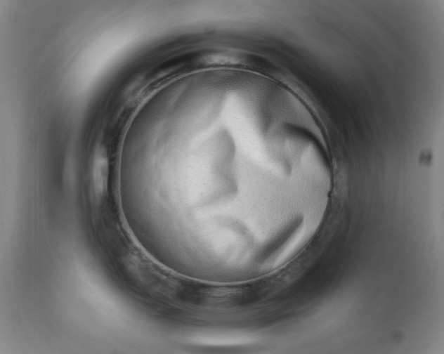 X0000110911151200907021429