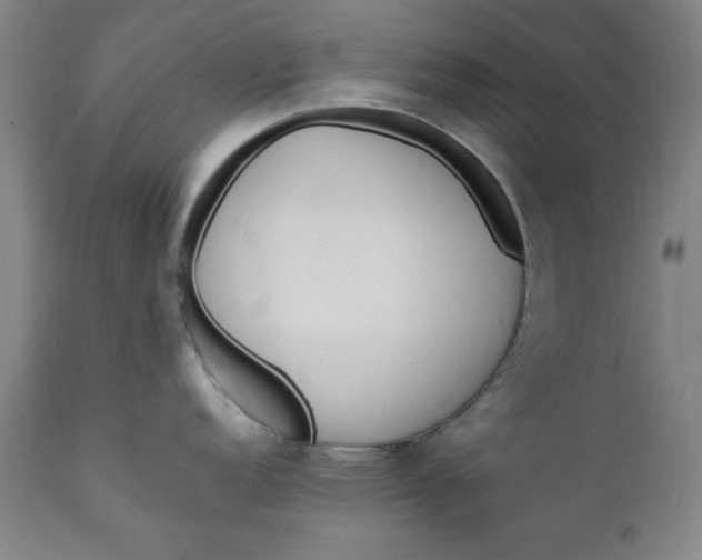 X0000110911152200907021429