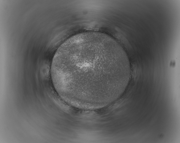 X0000110911154200907021428