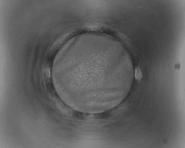 X0000110911155200907021428